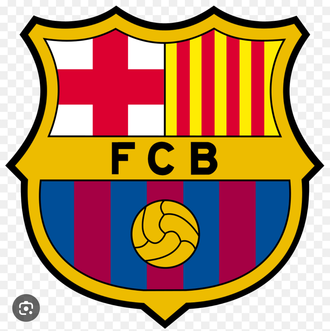 Soccer Team Logo Custom Pillows